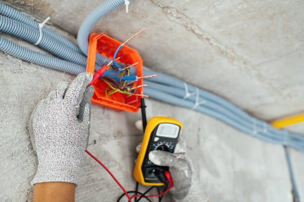 Best Electrical System Inspection  in Carrollton, VA